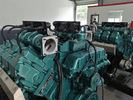 260KW Deutz V6 Biogas Generators Combined Heat Power Cogeneration Generator